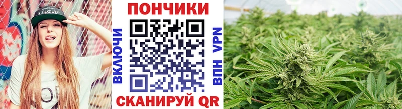 Купить закладки  Красноармейск  Каннабис Ganja 